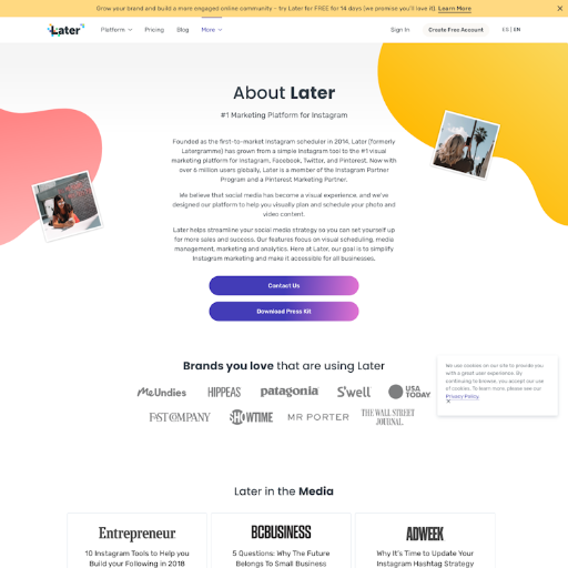 Later About Us Page Design