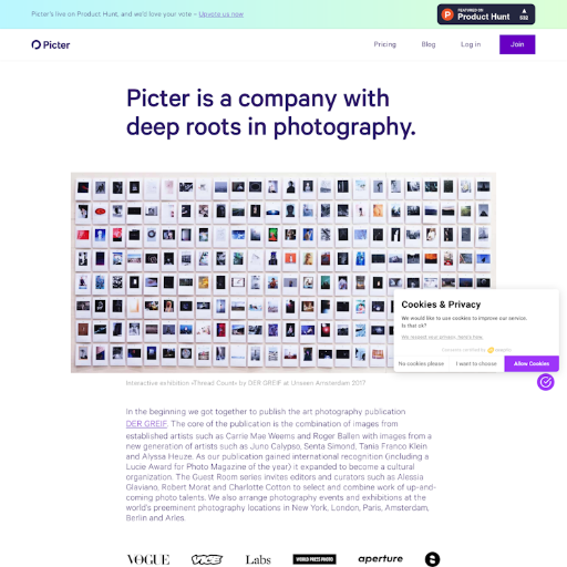 Picter About Us Page Design